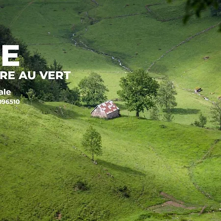 Les De Sylvie Apartman